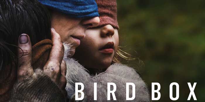 Bird box, the movie